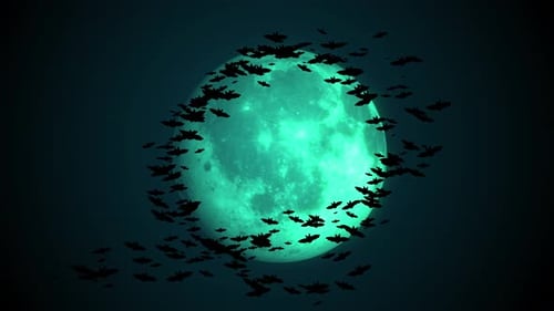 Halloween Night: Full Moon and Flying Bats Animation