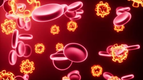 Medical Animation of Red Blood Cells and Glowing Virus Particles