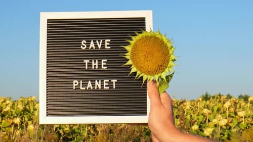 Unrecognizable Person with Banner Message SAVE THE PLANET in Sunflower Field on Sunny Day Sign EARTH