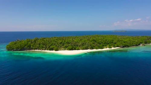 Tropical Island with a White Beach