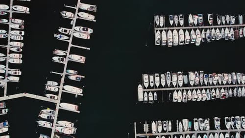 Boote reihten sich bei sonnigem Tageslicht in einem belebten Jachthafen auf