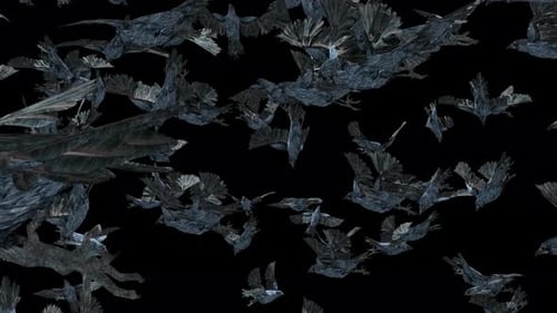Stylized Dark Crows Flying with Alpha Channel