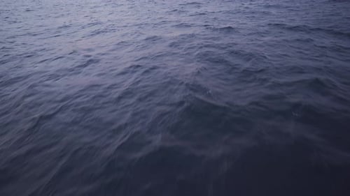 Meer.