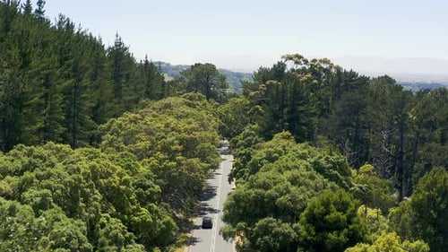 4k-Videoaufnahmen eines Autos, das tagsüber auf einer Straße fährt, die von einem Wald umgeben ist