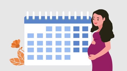Flat Design Animation of Pregnant Woman and Calendar