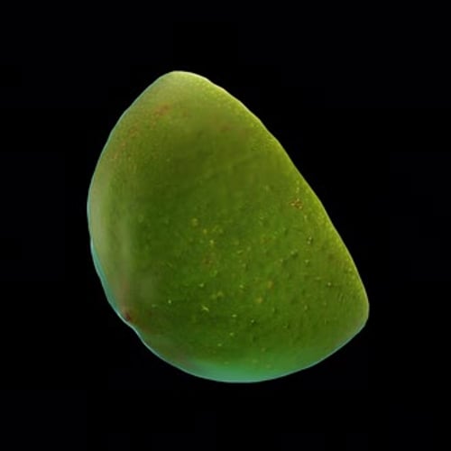 Rotating 3D Sliced Lime - Seamless Endless Loop in 4K