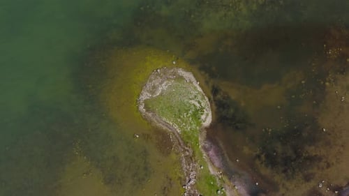 Top down drone shot of sea water near coastline. Rocks. Grass. Ecology. Pollution.