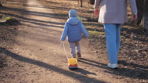 Happy Family Outdoor Back View of Mother and Her Child on Walk in Park Mom Walking Along Road with