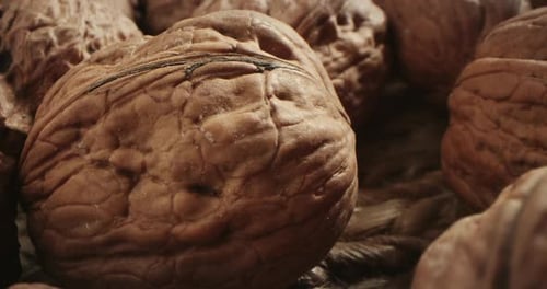Close up of Walnuts on Textured Surface