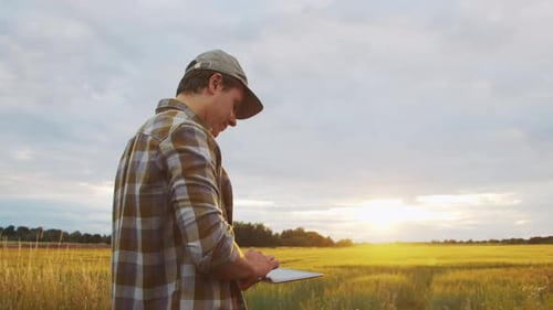 Farmer with a Tablet Computer in Front of a Sunset Agricultural Landscape Man in a Countryside Field