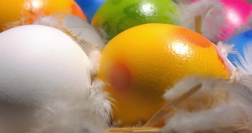 Close-up of white and colored Easter eggs
