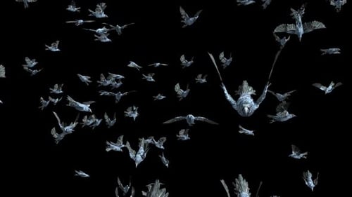 Textured Flock of Birds Flying with Alpha Channel