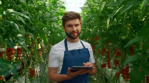 Man Farmer Collecting Cultivation Research Modern Tablet Computer in Plantation. Focused Agribusines
