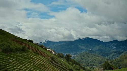 Timelapse of Cumulus Clouds Moving in the Blue Sky Above the Greeen Agriculture Hills
