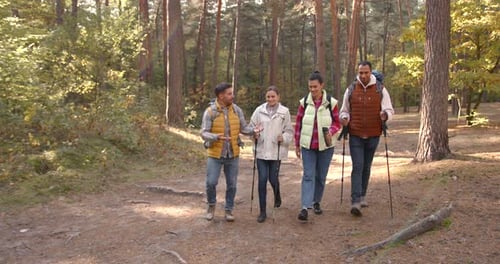 Group of Friends Hiking Together in Autumn Forest