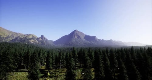 Majestic Mountain Range Surrounded By Dense Forest During Clear Daytime