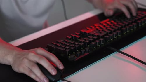 Cybersport Gaming Global Search Programmer Working