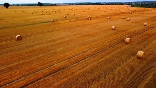 Aerial view of a large industrial brown field with many hay bales in field