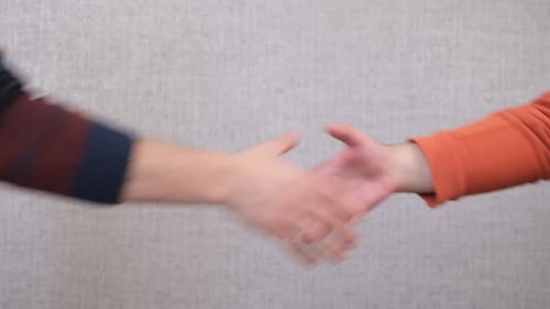 Handshake Man Hand