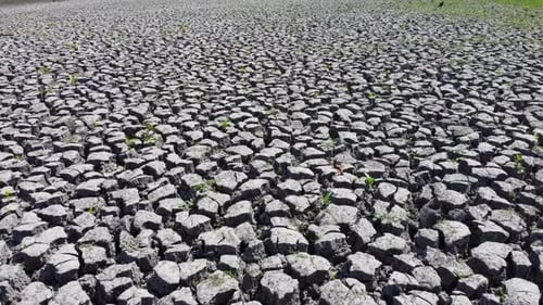 Tierra seca agrietada por la sequía