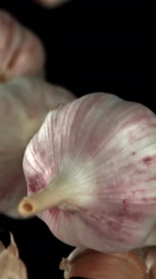Garlic Fly Up and Fall Down on a Black Background Filmed on a Highspeed Camera at 1000 Fps