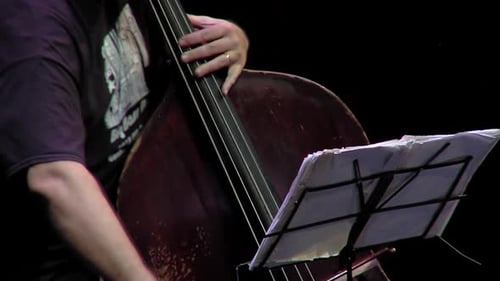 Musician Playing Stand Up Bass with Bow at Night