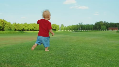 Back View Small Boy Running in Field. Blonde Kid Having Fun In