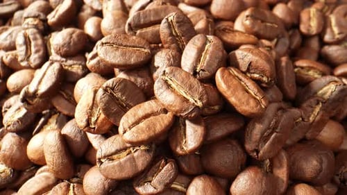 Beautiful coffee beans. Close-up macro video. 4K