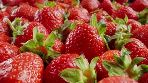 Ripe Strawberries in Bright Close-Up