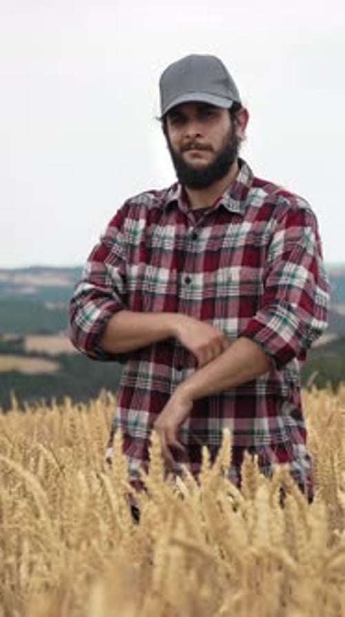 Portrait of Confident Bearded Farmer on Agricultural Wheat Field with Cap Looking at Camera