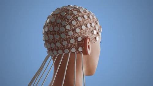 EEG Cap Assembling on Human Head for Scientific Brain Activity Monitoring