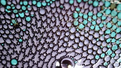 photo d'un mélange liquide vibrant, créant des motifs uniques et des textures fascinantes