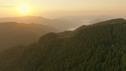 Forest Nature Mountains Dawn Sunrise Landscape Morning Beautiful