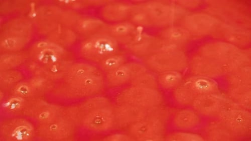 Chicken in Tomato Sauce is Boiling on a Frying Pan with Spices Cooking Tomato Sauce Curry with