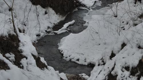 Mountain stream in the winter forest.