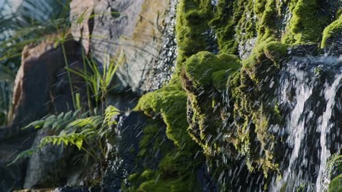Waterfall On A River In Wild Nature 24