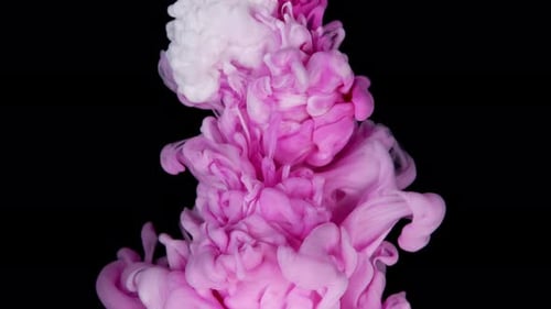 Pink and White Acrylic Ink Slowly Merging Forming a Mesmerizing Multicolor Background on Black