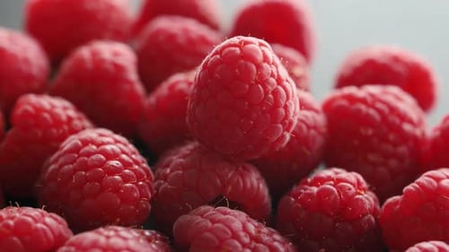 Fresh Red Raspberries