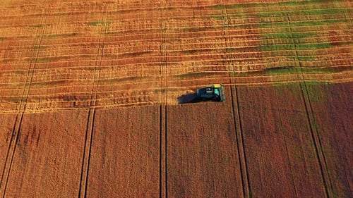 Vista aérea de la cosechadora cortando la cosecha de trigo en la temporada de cosecha.
