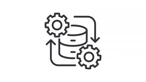 Optimisation du système et animation de la ligne de développement
