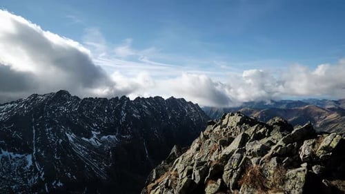 Flying Through the Trees in the Autumn Forest