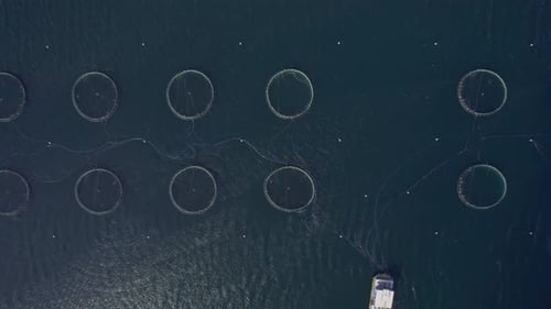 Aerial view of crabhadal beach and salmon farm, Scotland.