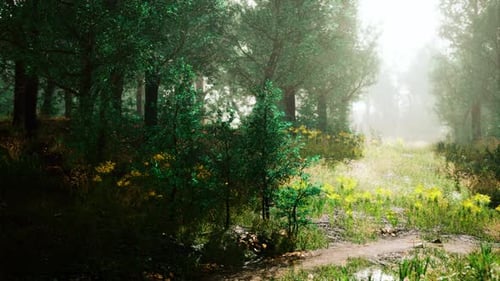 Beautiful View of Idyllic Alpine Mountain Scenery with Blooming Meadows