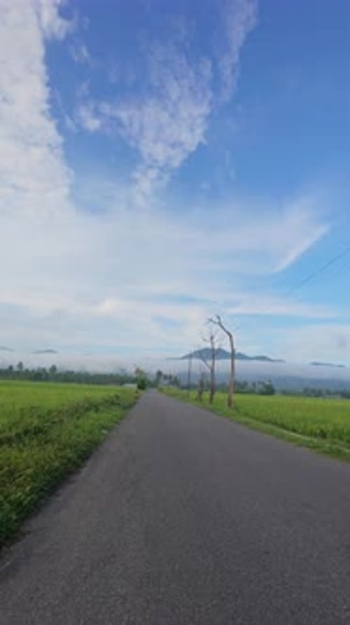 Road Through Green Fields Under Blue Sky