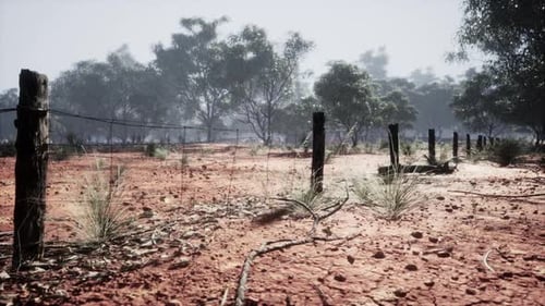 Outback Farm Barbed Wire Fence in Dry Rural Landscape