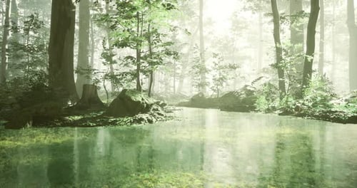Lush Forest Landscape with a Serene Water Body During Daylight