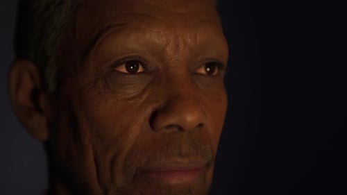 Amazingly High Detailed Portrait of an African Face