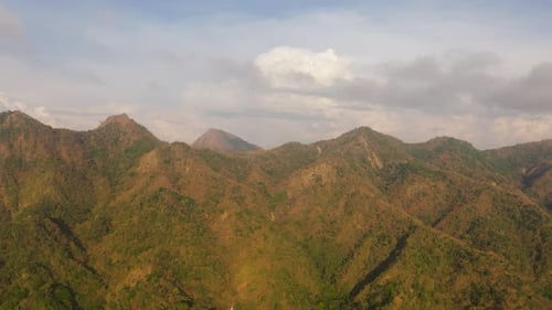 Paysage tropical avec montagnes
