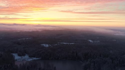 Winter Forest Landscape at Sunrise Aerial View
