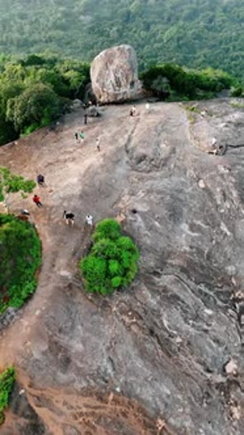 Montez au-dessus du rocher de Pidurangala où se promènent des touristes. Monuments célèbres du Sri Lanka. Vidéo verticale.
